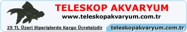 Reklam