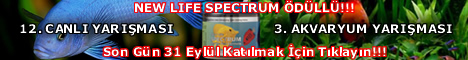 Akvaryum.Com Yar��ma